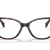 Emporio Armani 0EA3172 523454/16 -Beste Optische Winkel original png 0EA3172 5234 STD shad fr