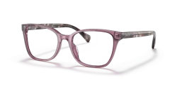 Ralph 0RA7137U 600851/18 -Beste Optische Winkel original png 0RA7137U 6008 STD shad qt