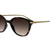 Karun KAUS0042 Havana 53/18 -Beste Optische Winkel original png 5060486615636 00002