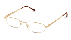 GLibrary CM71 DH 51/19 -Beste Optische Winkel original png 8719154011856 angle 03 gv library hfcm71 eyewear gold havana tortois