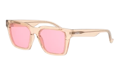 Unofficial UNSU0110 PPP051/17