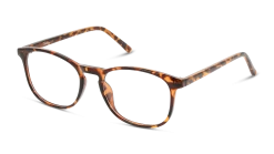 Seen SNOU5003 HH00 50/17 5 Seen SNOU5003 HH00 50/17 -Beste Optische Winkel original png 8719154674730 angle 03 seen snou5003 eyewear havana havana