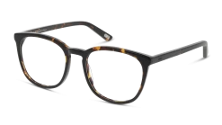 DbyD DBOF0042 HH0054/19 5 DbyD DBOF0042 HH0054/19 -Beste Optische Winkel original png 8719154722264 angle 03 dbyd dbof0042 eyewear havana havana