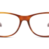 DbyD DBOT5006 NN00 50/15 2 DbyD DBOT5006 NN00 50/15 -Beste Optische Winkel original png 8719154828911 front 01 dbyd dbot5006 eyewear brown brown