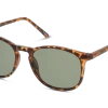 Seen SNSU0020 HHE054/19 -Beste Optische Winkel original png 8719154834189 angle 03 seen snsu0020 eyewear havana havana